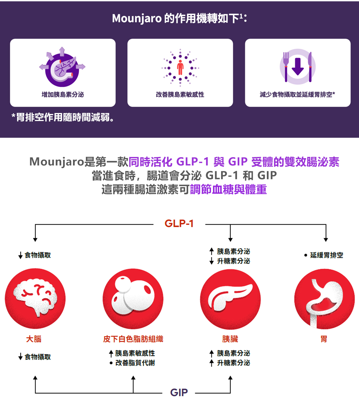 猛健樂Mounjaro_瘦瘦針_最新瘦瘦針_瘦瘦針價錢_減肥針_減肥治療_瘦瘦筆2025_猛健樂效果_猛健樂費用_猛健樂推薦_Mounjaro_06